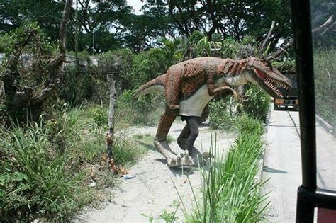 Hotels near Dinosaurs Island .